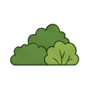 009