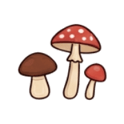 011