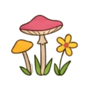 006