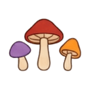 008
