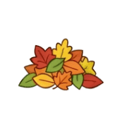 019