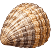 011