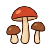 008