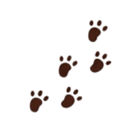 035
