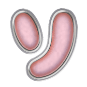 095