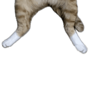 015