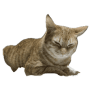 040
