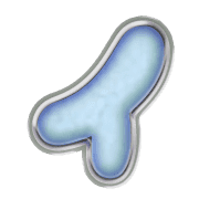 082