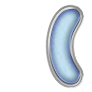 234