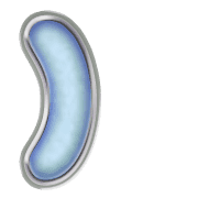 235
