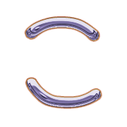 010