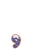 245