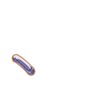 256