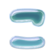 010