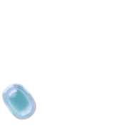 256
