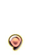245
