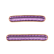 102