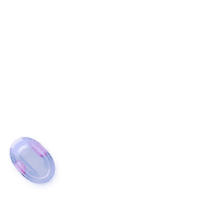 256