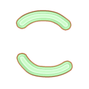 010