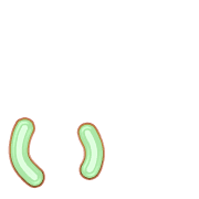 048