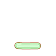 250