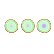 257