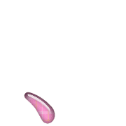 256