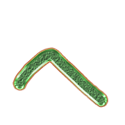 029