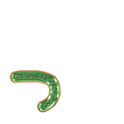 052