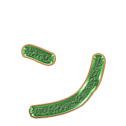 126