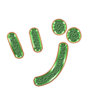 148