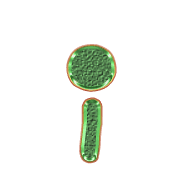 196