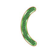 234