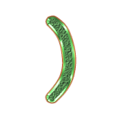 235