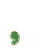 245