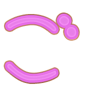 060