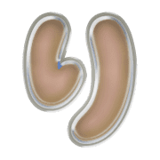040
