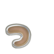 052