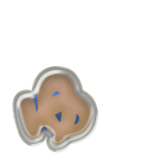054