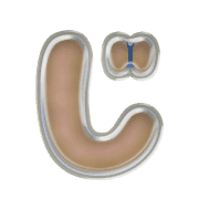 062