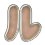 121