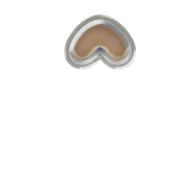 231