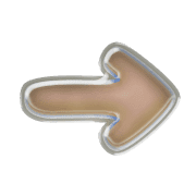 262