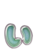 048