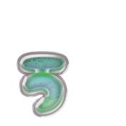 049