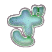 061
