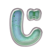 062
