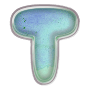 181