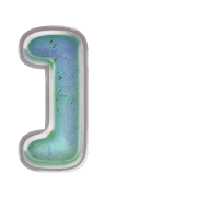 241