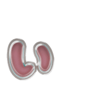 048